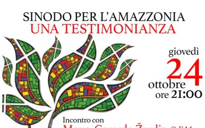 Sinodo per l’Amazzonia